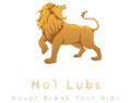no1lubs.in
